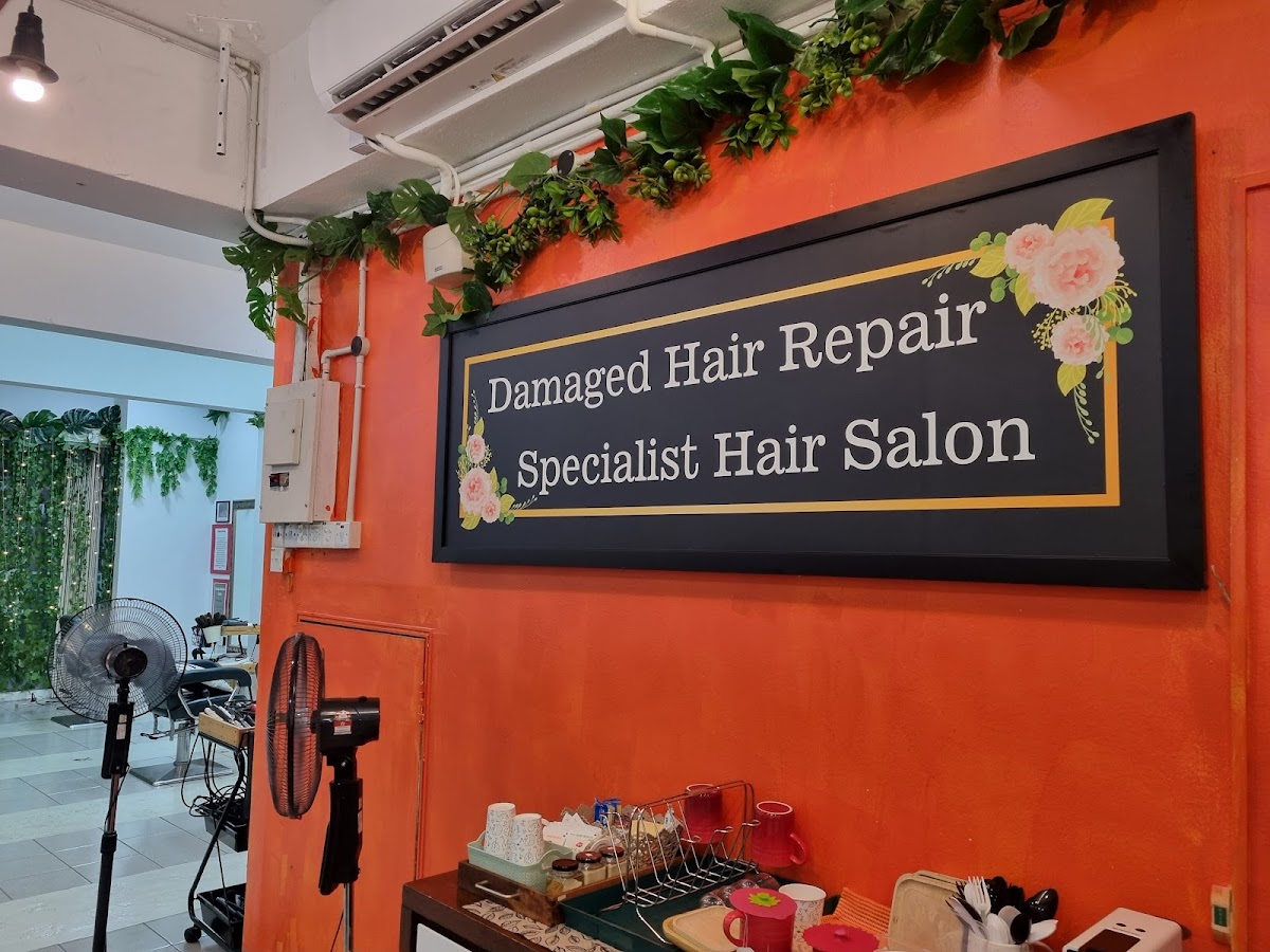 코즈보그-Kosvogue Eco Korean hair salon